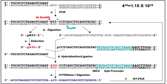 Figure 1b