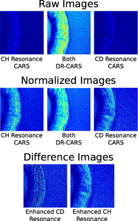 Figure 5