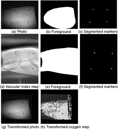 Figure 12