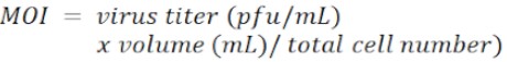 Equation 1