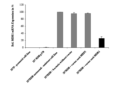 figure-protocol-2 Figure 2