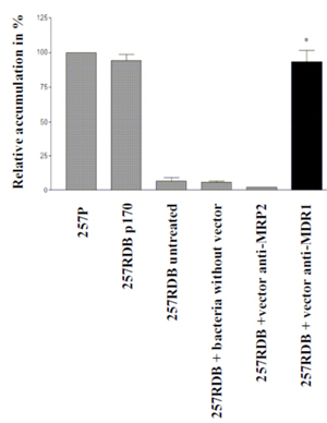 figure-protocol-5 Figure 5