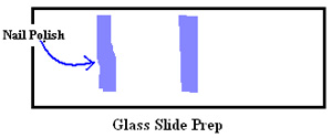 Figure 1 step 6.2