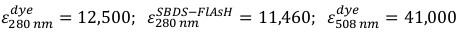 Equation 1