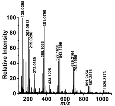 Figure 2b