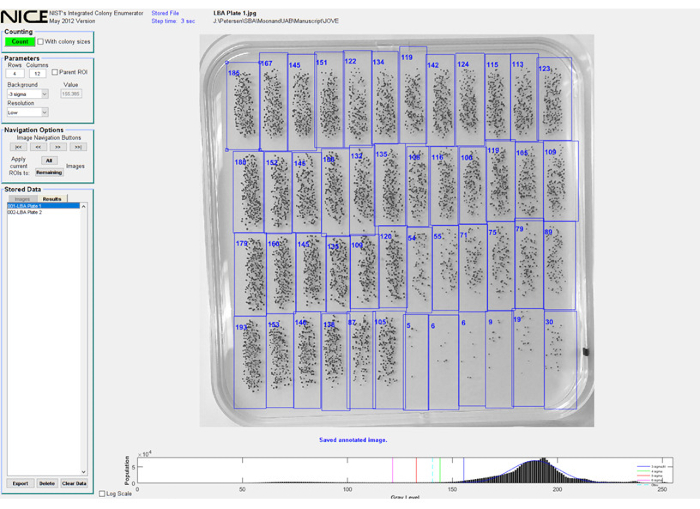 Figure 2