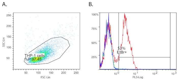 Figure 5