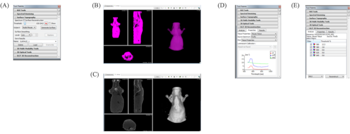 Figure 6