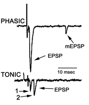 Figure 16