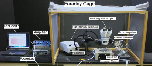 Figure 27