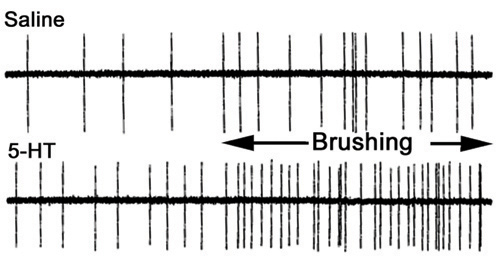 Figure 35