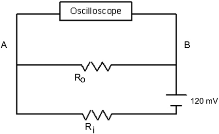 Figure  4 bottom