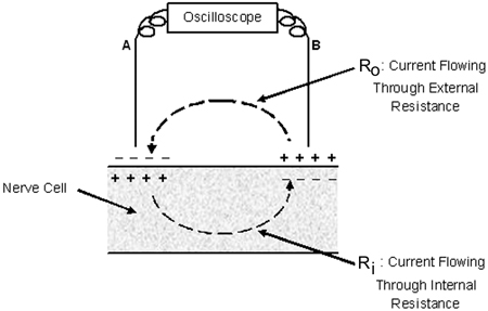 Figure  4 top