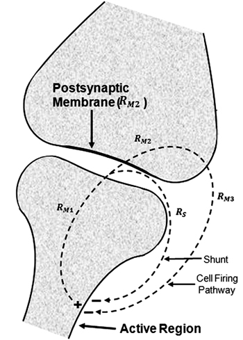 Figure  6