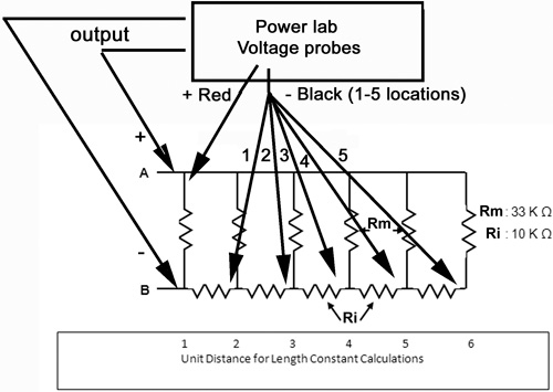 network 7b