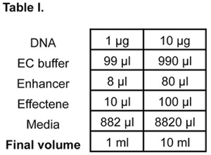 Table 1