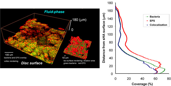 Figure 4.4