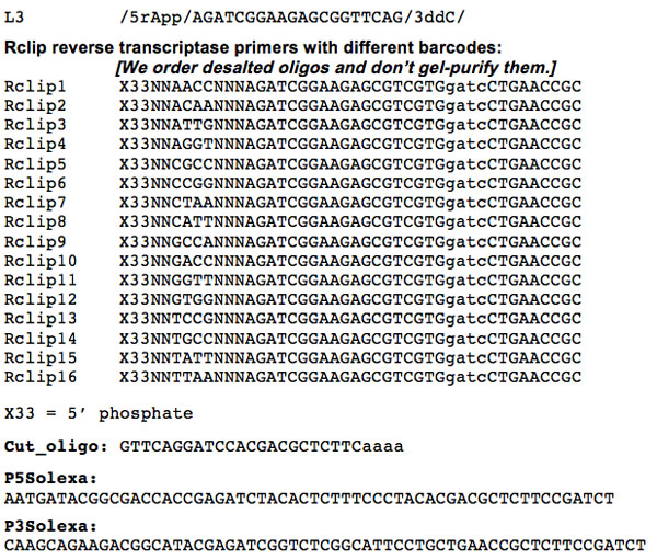 DNA