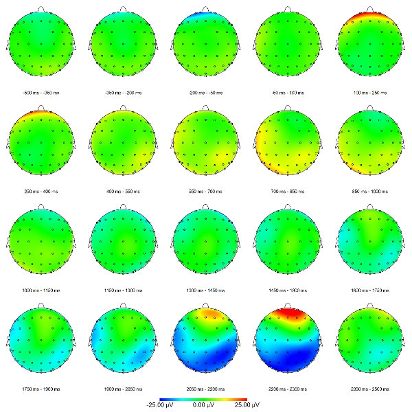 Figure 2b