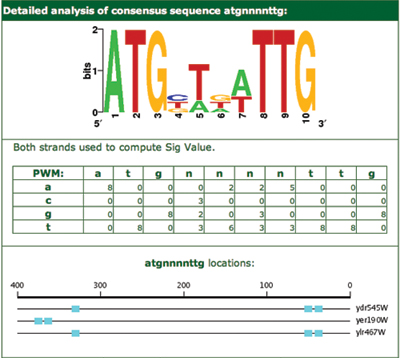 Figure 4 top