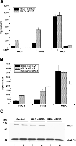 Figure 1A