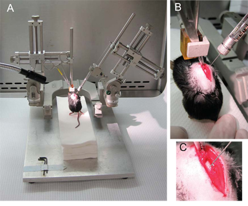 Figure 2