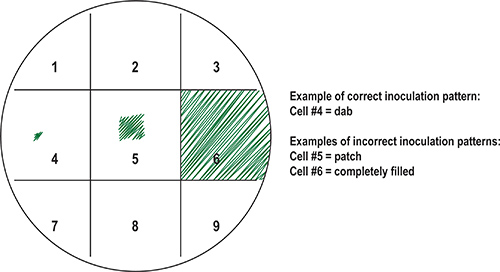 Figure 8