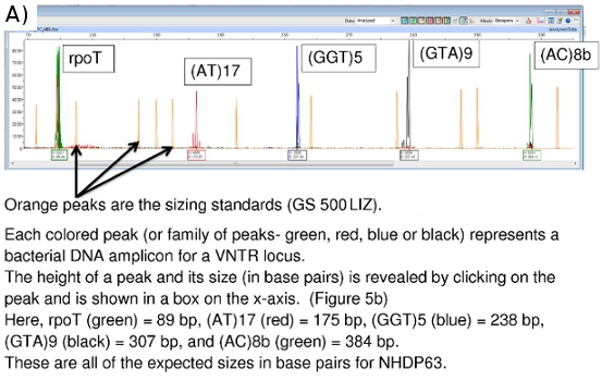 Figure 5a