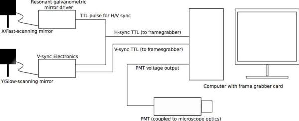 Figure 3a