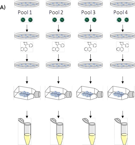 Figure 1a