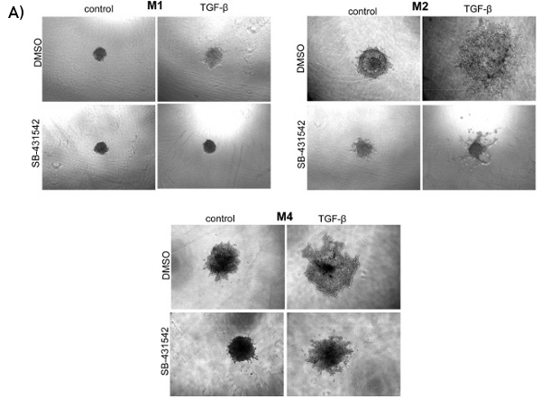 Figure 4a