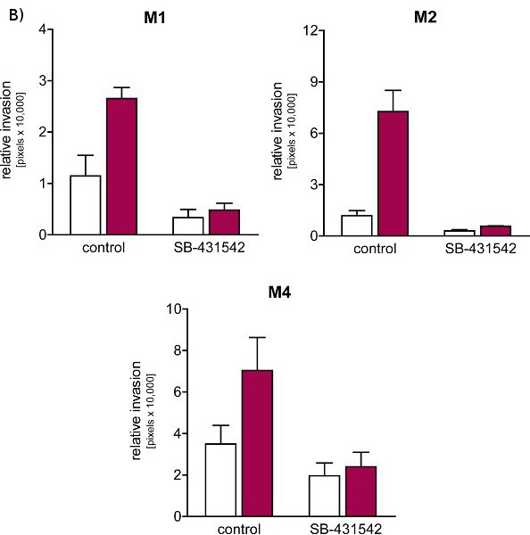 Figure 4b