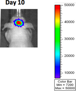 Figure 3A