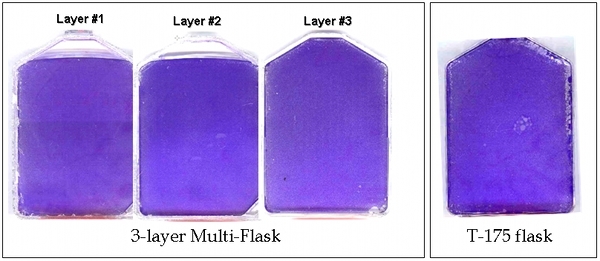 Figure 4B