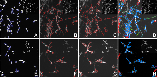 Figure 4.