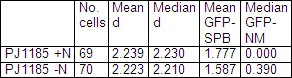 Table 3