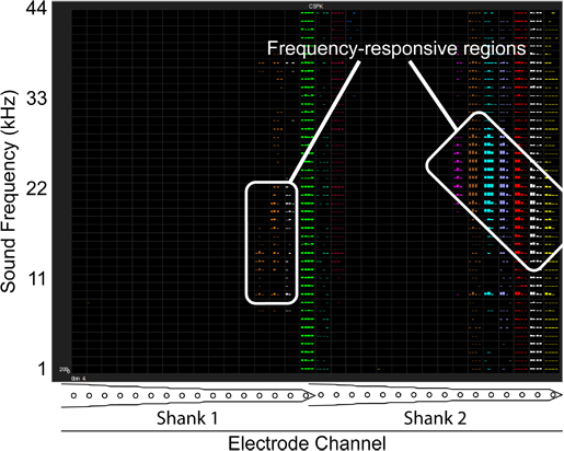 Figure 7