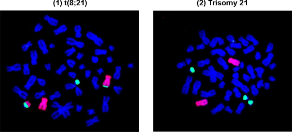 Figure 3B