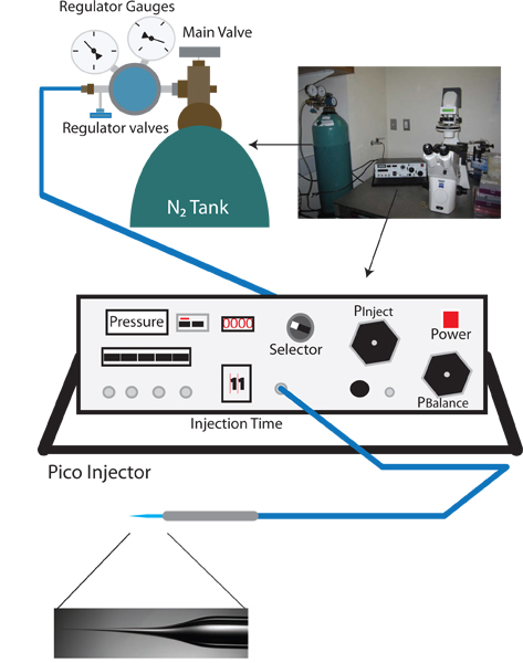 Figure 1.