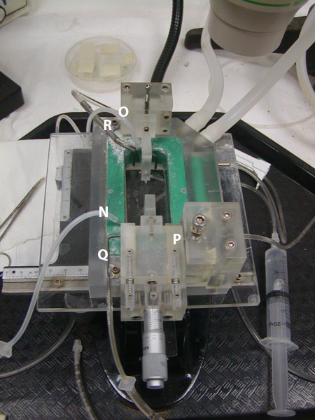 Figure 1C