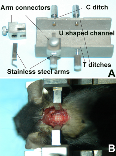 Figure 2