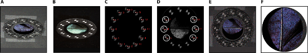 Figure 9