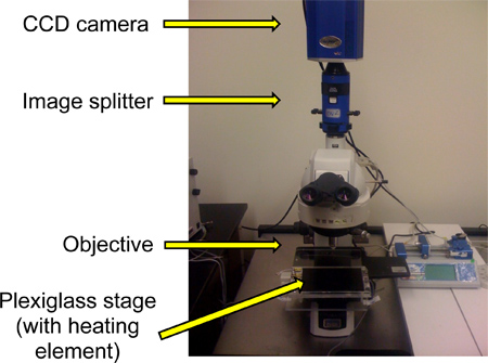 Figure 9