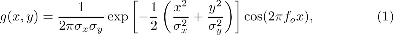 Equation 1