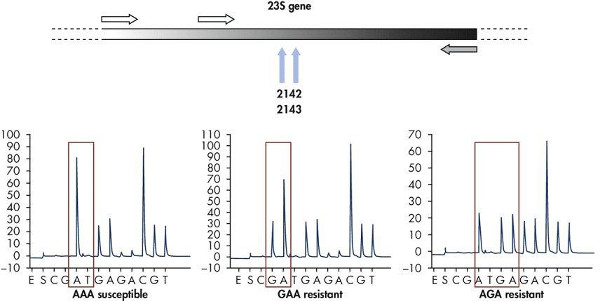 Figure 11