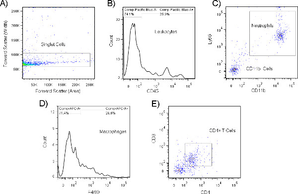 Figure 9