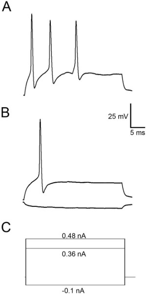 Figure 5