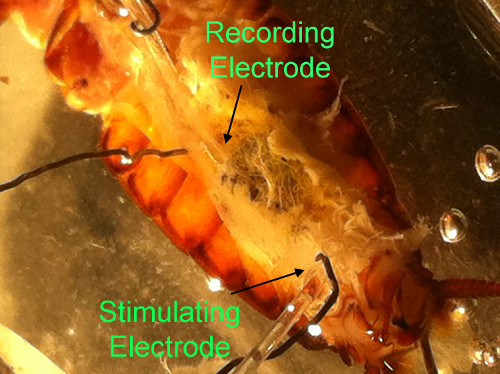 Figure 7