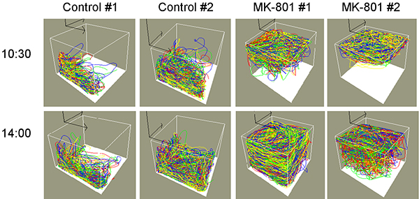 Figure 21