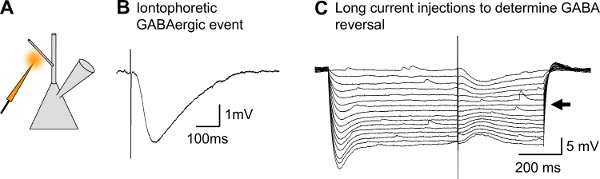 Figure 8